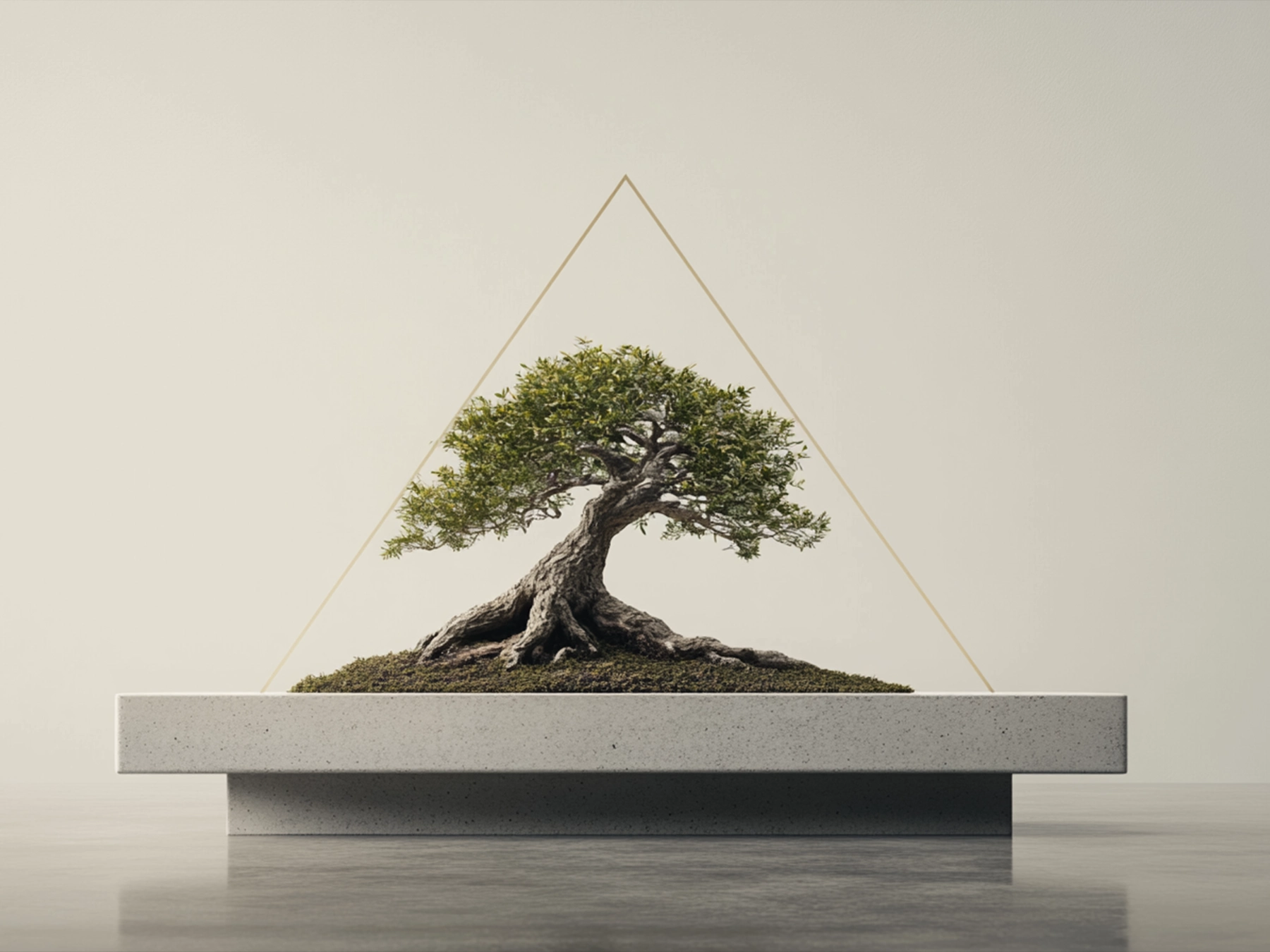 What is the rule of 3 in bonsai